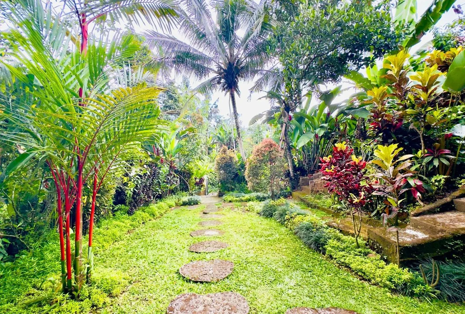 *** Guest house Surya Ubud View And Suites By Eps Indonesia
